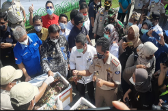 Perdana, Bandara SAMS Balikpapan Buka Jalur Ekspor Kepiting Bakau ke China