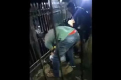 Pengantin Baru Pegawai Honorer dan 1 Temannya Meregang Nyawa Tersengat Listrik Pagar Rumah Makan