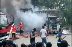 Aceh Gempar, 2 Bus Mewah Ludes Dilalap Kobaran Api Saat Parkir di Terminal Batoh