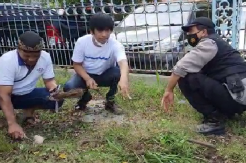 Di Bawah Terik Matahari, Rian dMasiv Antusias Bersih-Bersih Keraton Solo