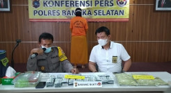 Diamankan Polisi Bersama 4.310 butir Pil Tramadol, IRT: Saya Baru Empat Kali Menjual