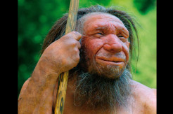 Wow, Manusia Purba Neanderthal Gunakan Tusuk Gigi Sejak 46.000 Tahun Lalu