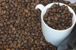Limbah Kopi Terbukti Dapat Menyuburkan Lahan Kritis