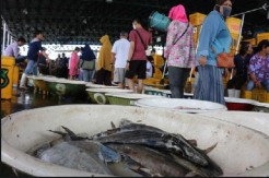 Ditemukan Daging Ikan Giling Mengandung Boraks di Pasar Tradisional Kota Baturaja