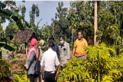Berkah Ramadhan saat Pandemi, Petani Porang Desa Gemarang Dapat Kucuran Rp5,2 M