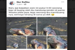 Warga Pidie Jaya Heboh, Isu Penemuan Janin Bayi di Pinggir Pantai