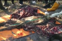 Nelayan di Alor Temukan Jasad Manusia dengan Kondisi Tak Utuh Lagi