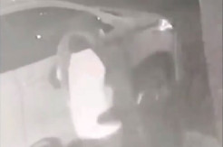 Maling Sepeda Lipat Terekam CCTV, Pelaku Diduga Pasangan Suami Istri