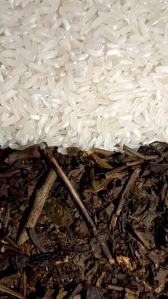 Jarang Diketahui, Ini Manfaat Menanak Nasi dengan Air Teh