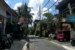 Terlanjur Viral! Kegiatan Kelas Orgasme di Ubud Bali Akhirnya Batal Digelar