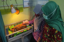 Waduh,Pembuang Bayi Perempuan di Mojokerto Ternyata Orang Pertama yang Menemukan