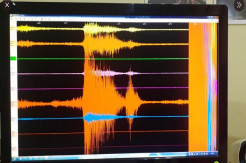 Gempa M5,3 Guncang Gunungkidul, Getarannya Dirasakan di Semua Pos Pengamatan Merapi