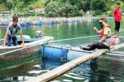 Senang Bisa Pulang Kampung,...