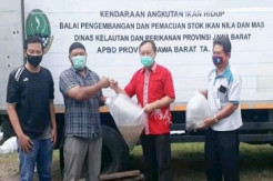 Budidaya Perikanan di Pangandaran Tidak Terdampak Pandemi COVID-19