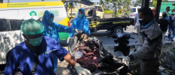 Gresik Gempar, Pria Ber-KTP Lamongan Ditemukan Tinggal Tengkorak