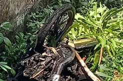 Puntung Rokok Bakar...