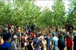 Konflik Lahan Memanas, Ratusan Petani di Batanghari Nyaris Bentrok dengan PT WKS