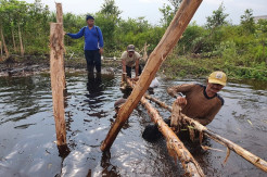 Cegah Kebakaran Hutan, Badan Restrorasi Gambut dan Mangrove Bangun Sekat Kanal
