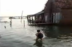 4 Kecamatan di Demak Terancam Tenggelam, Video Pelajar SD Lintasi Banjir Rob Viral