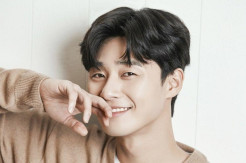 Park Seo Joon Bintangi...
