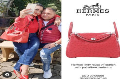 Ungkap Gaji dan Tunjangan Anggota DPR Ratusan Juta Sebulan, Intip Koleksi Tas Hermes Krisdayanti