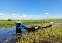 BRGM Cetak Petani Gambut Inovatif dan Berkelanjutan