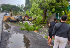 Belasan Rumah dan Masjid di Gresik Rusak Diguyur Hujan Deras Pertama