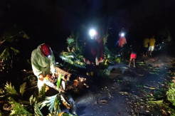 Angin Kencang Terjang Sleman, Rumah Warga Rusak Tertimpa Pohon Tumbang