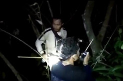 Hilang Saat Mendaki Gunung Semen, Pria Asal Mamuju Ditemukan Selamat di Tengah Hutan