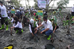 Hijaukan Pesisir, Gubernur Khofifah Gencarkan Aksi Tanam Mangrove