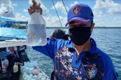 Polda Kaltim Tangkap Pelaku Penangkapan Ratusan Ikan Hias Pakai Potasium