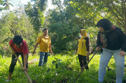 Andi Kartini Ajak Keluarga Peringati Hari Menanam Pohon Indonesia