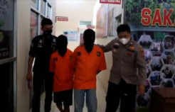 Diduga Jadi Otak Pencurian Mobil Kades, Oknum Kepala Desa Ditangkap Polisi