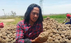 Kisah Paidi, Pemulung yang Kini Jadi Miliarder Berkat Porang
