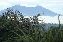 4 Kisah Misteri Gunung Putri Bogor, Nomor 3 Makam Nenek Prabu Siliwangi