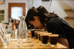 Jaga Keberlanjutan Kopi Indonesia, 36 Petani Kopi Bersaing di Kompetisi Internasional