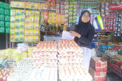 Harga Telur Ayam di Kabupaten Gowa Capai Rp60 Ribu per Rak