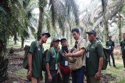 Upaya Pengembangan SDM Petani Sawit di Empat Provinsi
