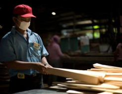Komoditas Kayu Olahan Berkontribusi Besar Tingkatkan Ekonomi Warga Gorontalo