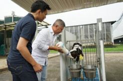 Gizi Optimal, Anak Sehat: World Milk Day 2025 Ajak Gaya Hidup Sehat Minimalkan Stunting