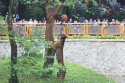 Ragunan Buka hingga...