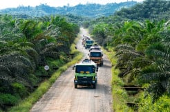 Indonesia Perlu Arah Kebijakan Baru Jadi Pusat Hilirisasi Sawit Dunia