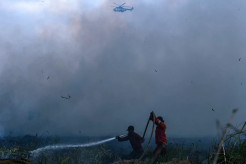 Antisipasi El Nino Godzilla, Perlu Langkah Cepat Cegah Karhutla dengan Kampanye Masif