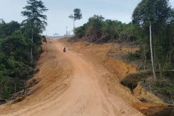 Kemenhut Jerat Tersangka Korporasi dalam Kasus Perambahan Hutan Lindung Tanjung Piayu