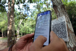 Menjelajah Hutan Masa Kini di Bukit Peramun
