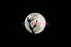 Melihat Fenomena Supermoon Terakhir di Tahun 2020