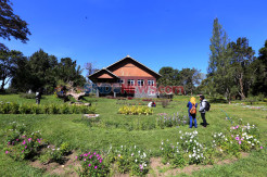 Guest House Jampit, Bangunan Kuno Peninggalan Kolonial di Kaki Gunung Ijen