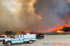 Kebakaran Hutan di California, Ribuan Warga Terpaksa Mengungsi