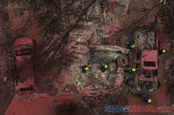 Kebakaran Hutan Amerika Serikat Tewaskan 33 Orang