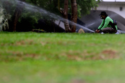Perawatan Rutin Taman Kota di Kawasan Semanggi